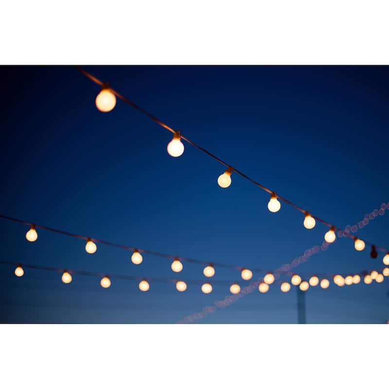 LEDPAX 100-Light 100 ft. Indoor and Outdoor LED String Light, Black