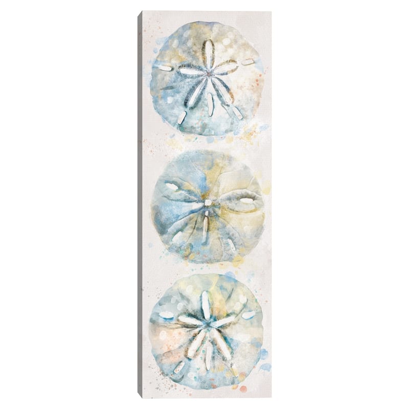 Shell Panel II by Studio Arts Canvas Art Print