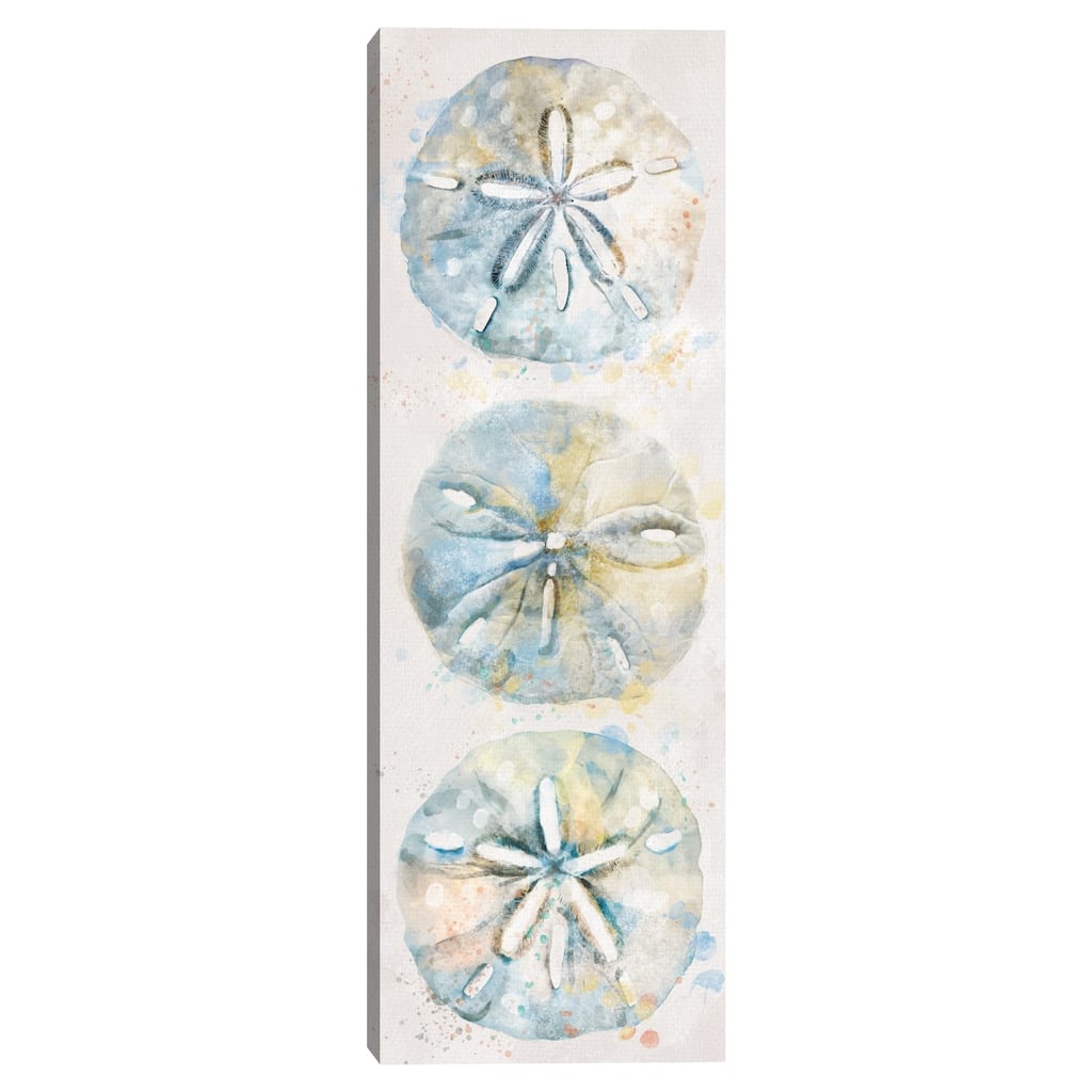 Shell Panel II by Studio Arts Canvas Art Print