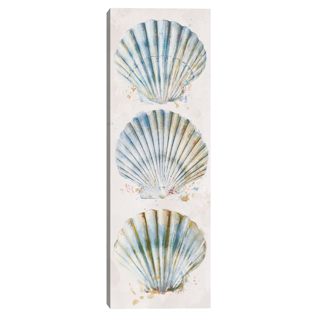 Shell Panel I by Studio Arts Canvas Art Print