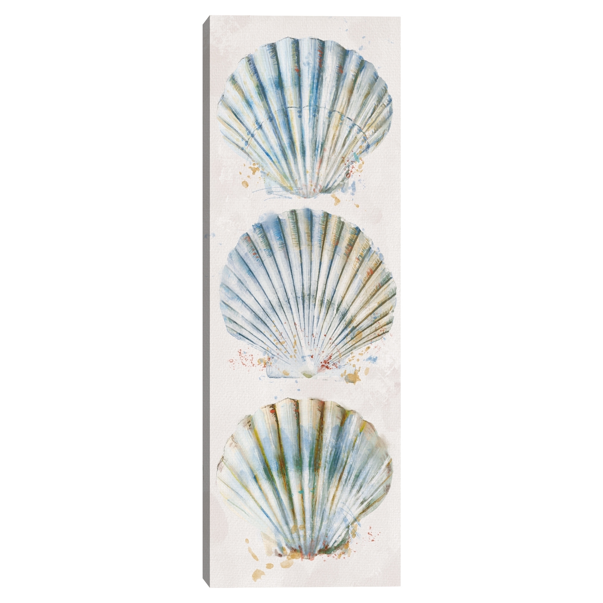 Shell Panel I by Studio Arts Canvas Art Print
