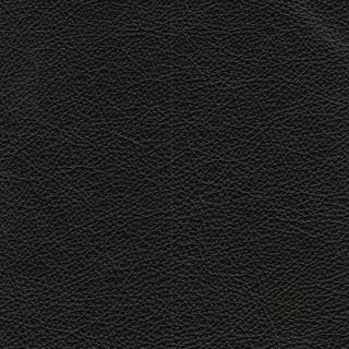 Coja Averill Genuine Leather Accent Chair (Black)