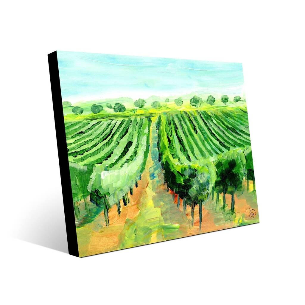 Kathy Ireland Old French Vineyard in the Spring on Metal Wall Art Print