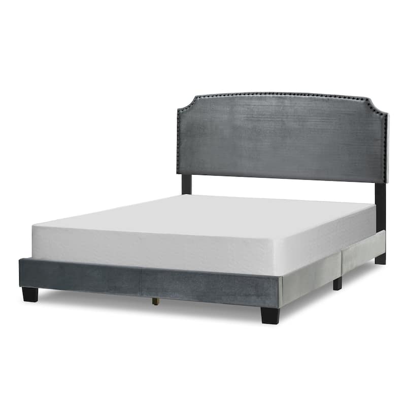 Arezo Silver Grey Velvet Queen Bed with Black Nail Head Trim