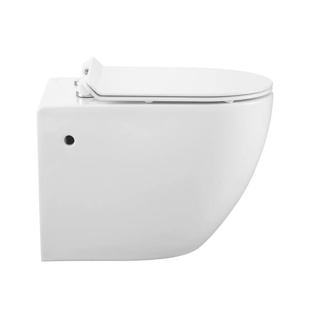 st tropez wall hung toilet
