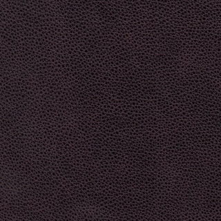 Coja Dierks Genuine Leather Suite Chair (Purple)