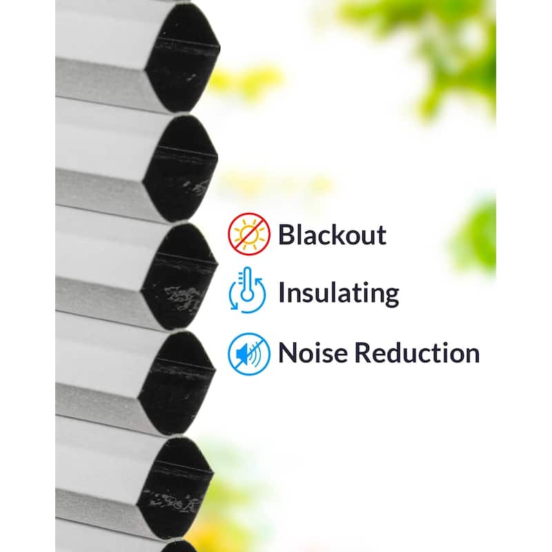 Chicology Top Down Bottom Up Cordless Cellular Shades, Blackout