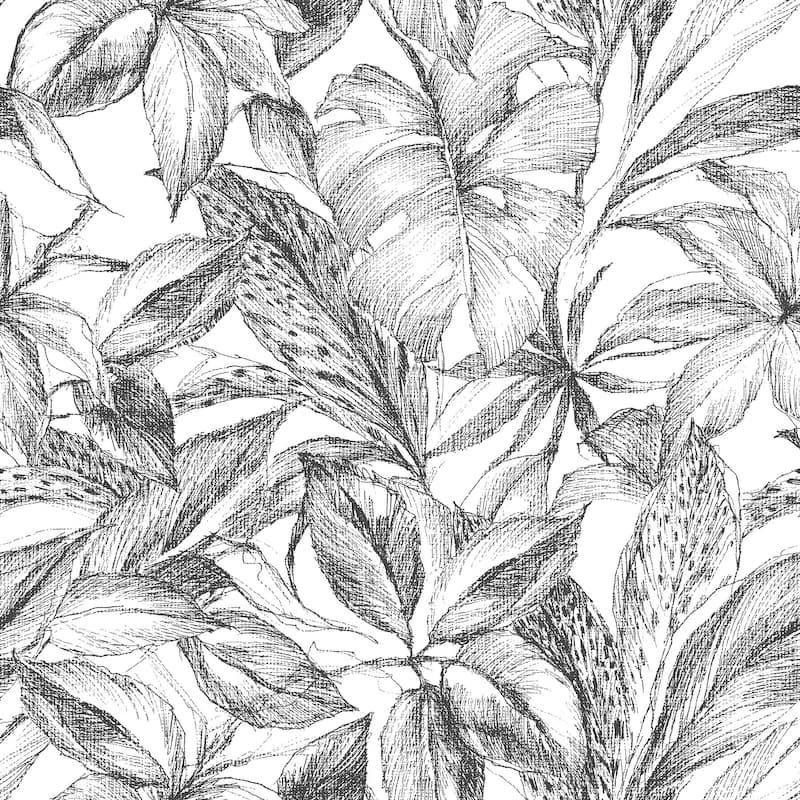 Fowler, Black Canopy Peel & Stick Wallpaper