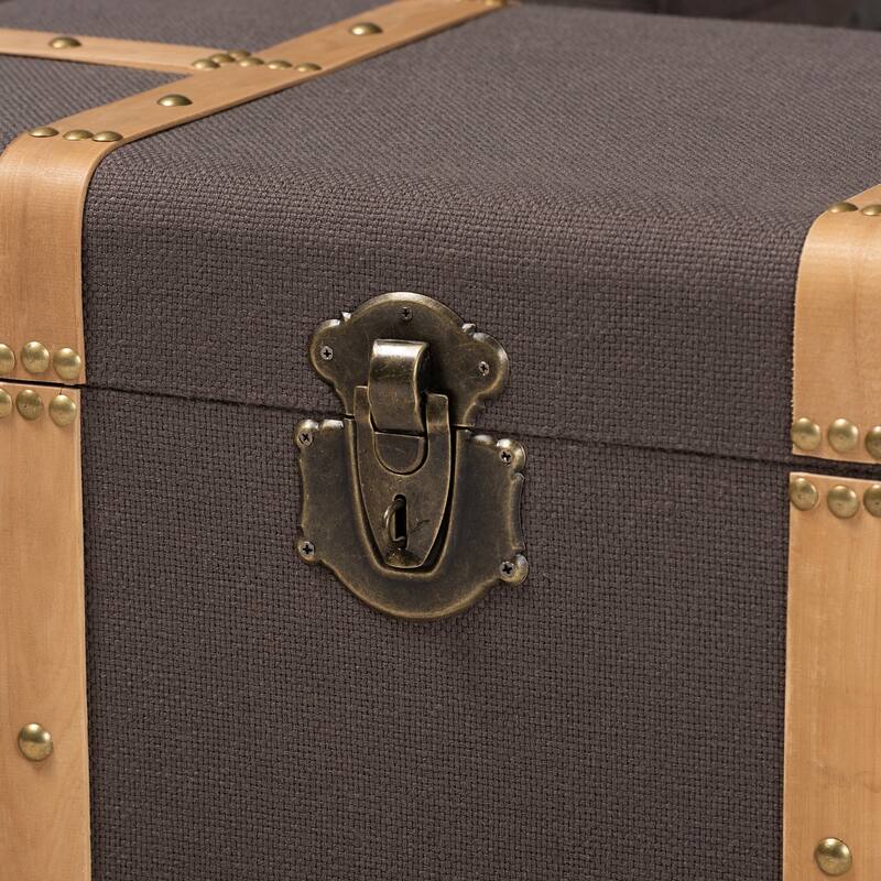 Carbon Loft Schaca Modern and Contemporary Transitional 2-piece Storage Trunk Set