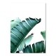 Tropical Leaves Poster Art Print - Bed Bath & Beyond - 31035384