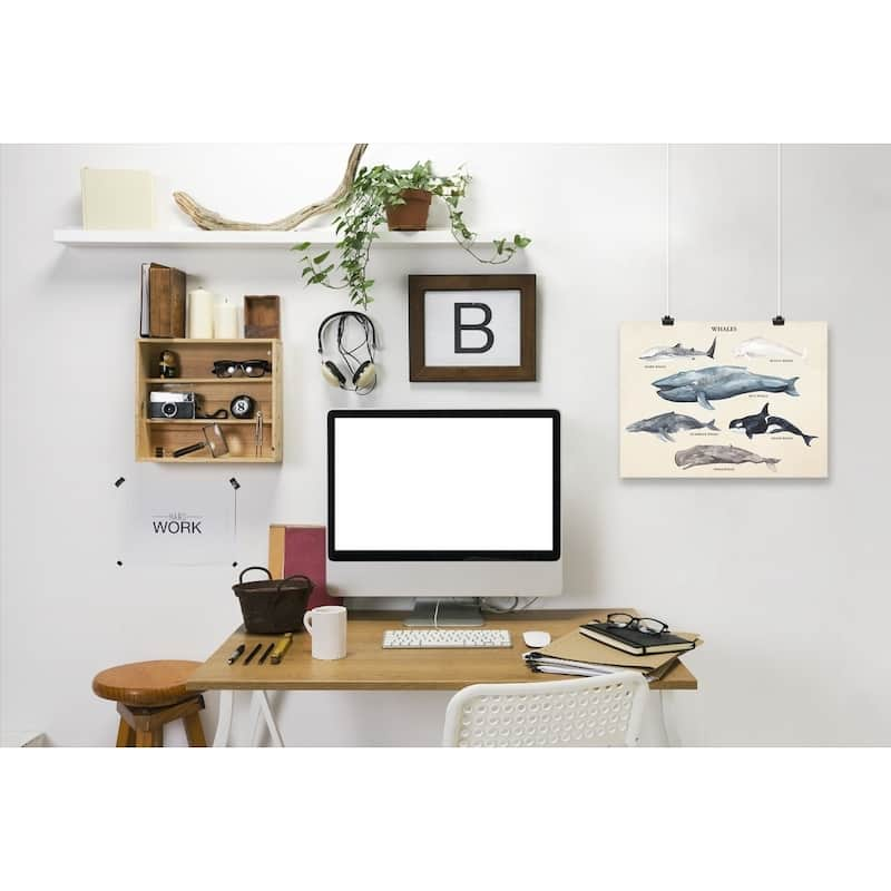 Whale Species Ii Poster Art Print - Bed Bath & Beyond - 31035418