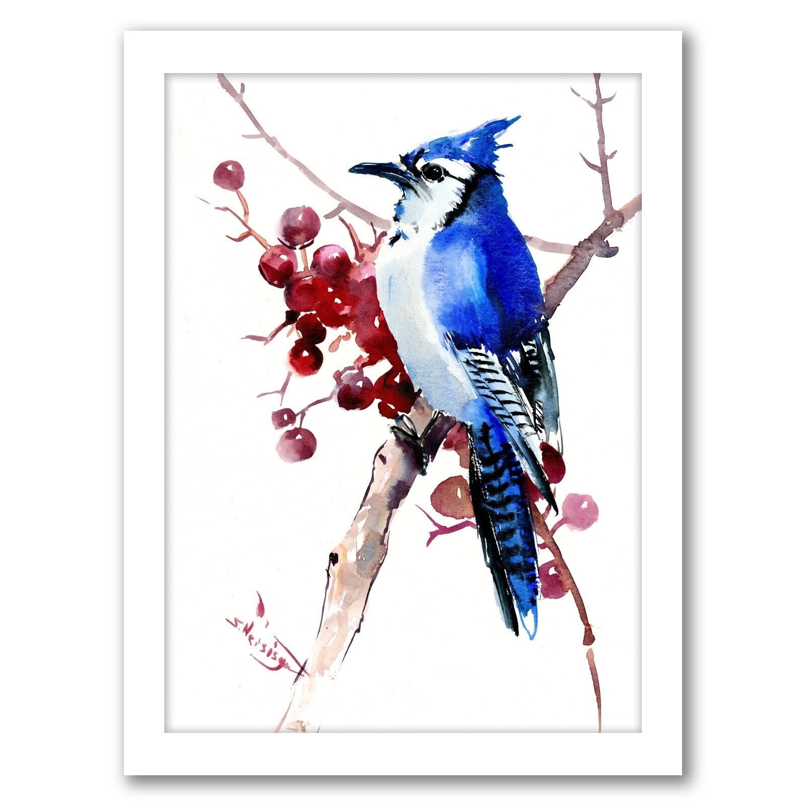 Blue Jay, Birds, Color Palette Inspiration., Digital Art Palette And  Brand Color Palette.