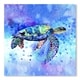 Sea Turtle Blue Poster Art Print - Bed Bath & Beyond - 31035560