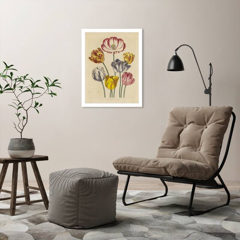 Herbal Botanical XXIIi - Framed Print Wall Art - Bed Bath & Beyond ...