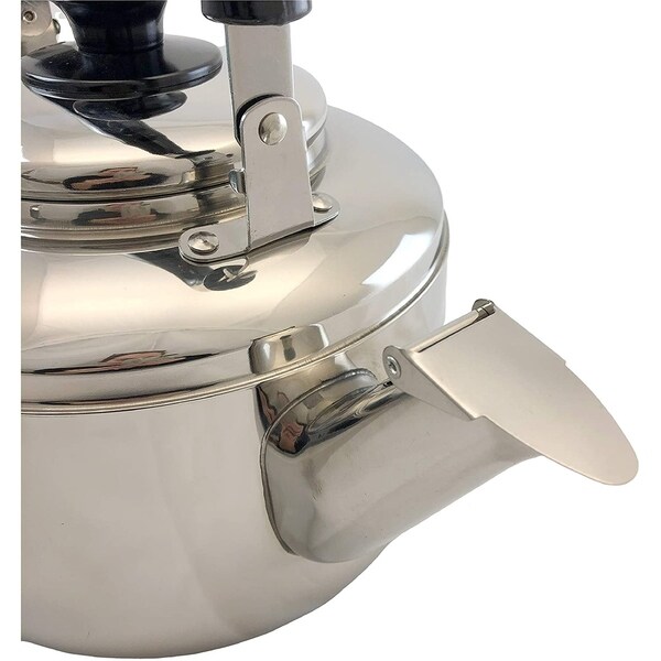 surgical stainless steel tea kettle