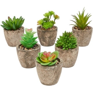 6 Pack Artificial Succulents, 2.7 to 4 inches Green and Red Cactus Plants  with Gray Pots - 2.7 to 4 inches - Bed Bath & Beyond - 31044393