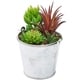 preview thumbnail 2 of 4, 4 Pack Artificial Succulents, 6.5 inch Colorful Cactus Plants with Iron Bucket - 6.5 inch
