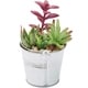 preview thumbnail 4 of 4, 4 Pack Artificial Succulents, 6.5 inch Colorful Cactus Plants with Iron Bucket - 6.5 inch