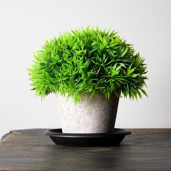 plant stand indoor Rattan Indoor Plant Stand, Small, Natural