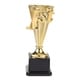 1st Gold Award Trophy 3