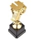 1st Gold Award Trophy 3