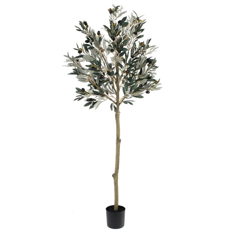 56" Potted Olive Leaf Topiary