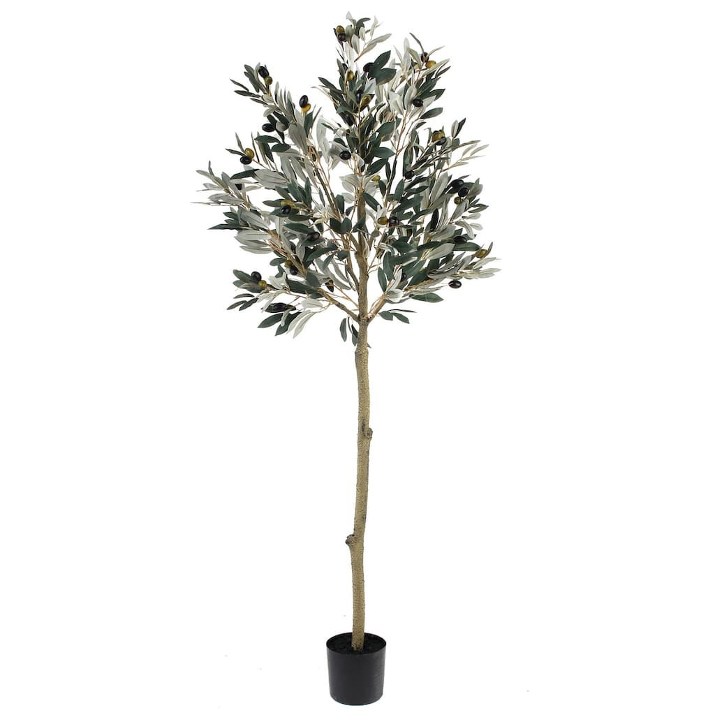 56" Potted Olive Leaf Topiary
