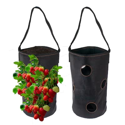 Vertical Garden Hanging Planter 7 Hole Bag for Strawberry & Bare Root Plants