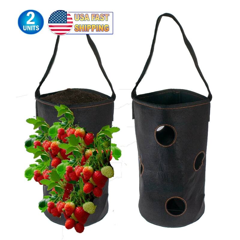 Vertical Garden Hanging Planter 7 Hole Bag for Strawberry & Bare Root Plants - Hangers