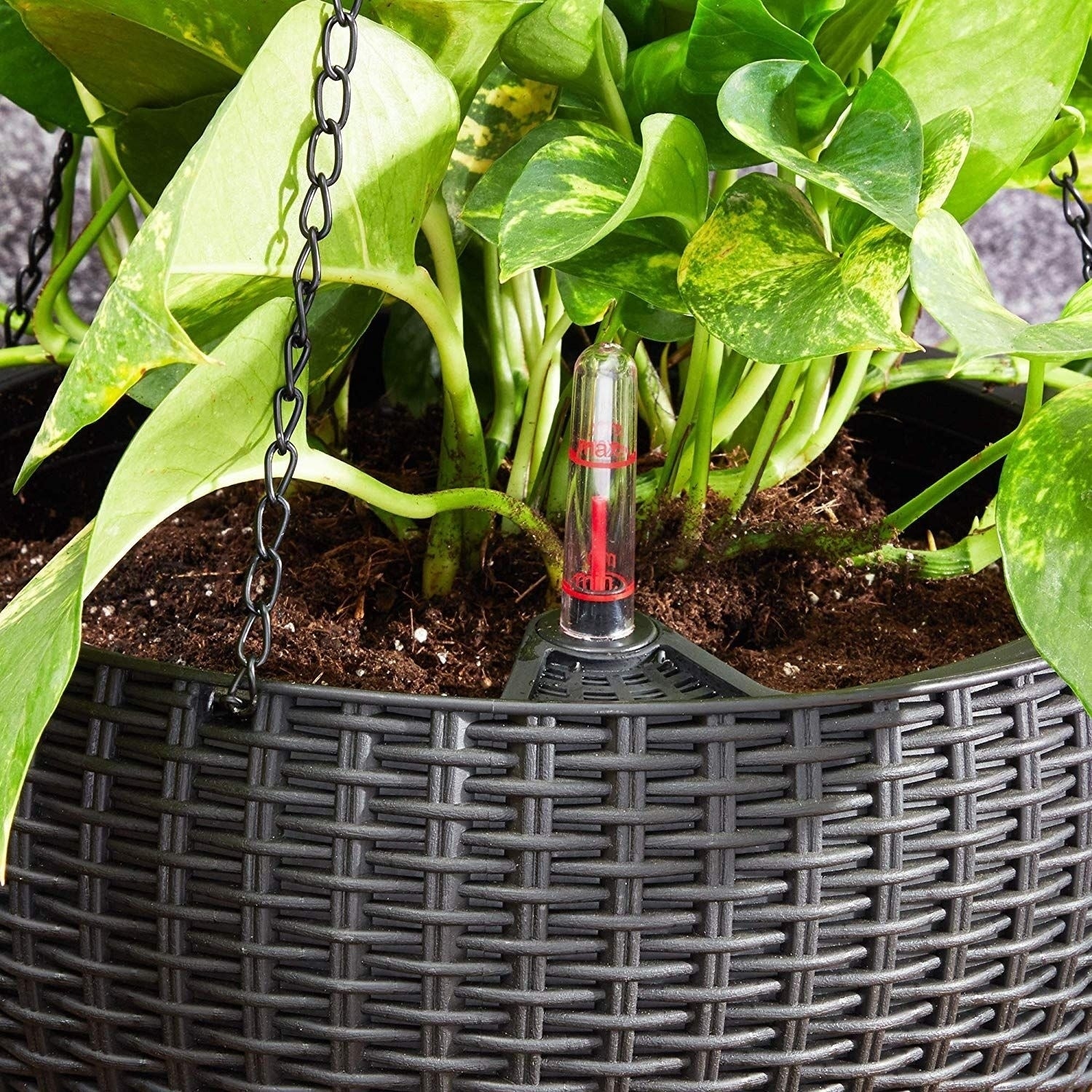 Self Watering Hanging Planter Flower Pot for Indoor Outdoor, Black 10 x 6 inch