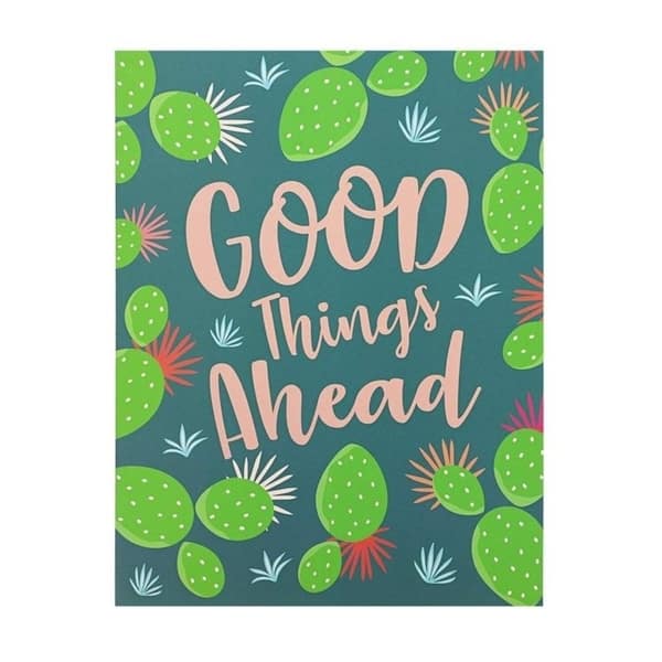 12x Funny Cactus Succulent Design Decorative Pocket Folder A4 Size for  Students - Bed Bath & Beyond - 31069040