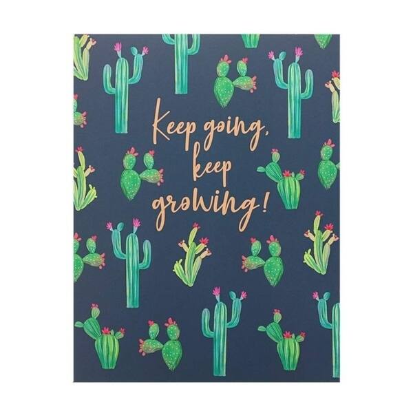 12x Funny Cactus Succulent Design Decorative Pocket Folder A4 Size for  Students - Bed Bath & Beyond - 31069040