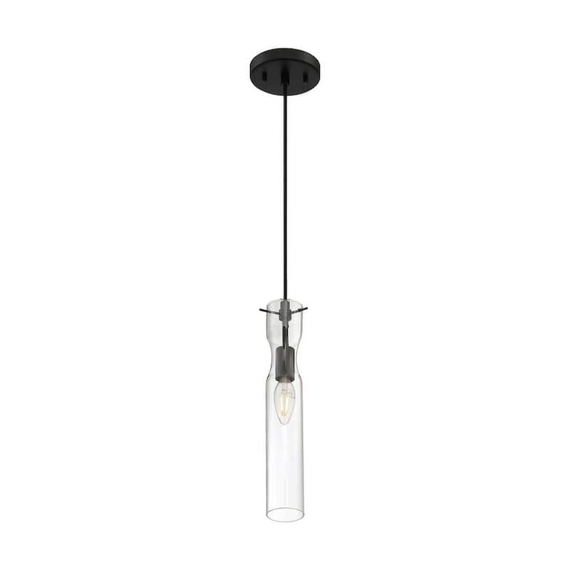 Spyglass 1-Light Mini Pendant Fixture - Black Finish with Clear Glass