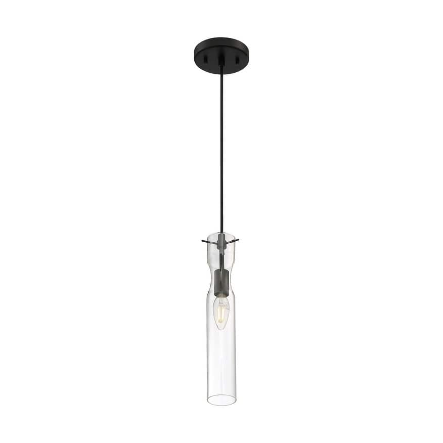Spyglass 1-Light Mini Pendant Fixture - Black Finish with Clear Glass