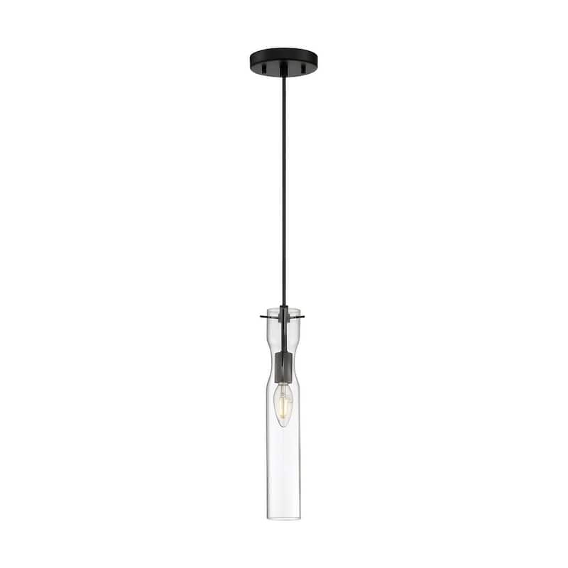 Spyglass 1-Light Mini Pendant Fixture - Black Finish with Clear Glass