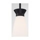 preview thumbnail 3 of 2, Caleta 1-Light Mini Pendant Fixture - Black Finish with Frosted Cylindrical Glass