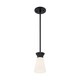 preview thumbnail 1 of 2, Caleta 1-Light Mini Pendant Fixture - Black Finish with Frosted Cylindrical Glass