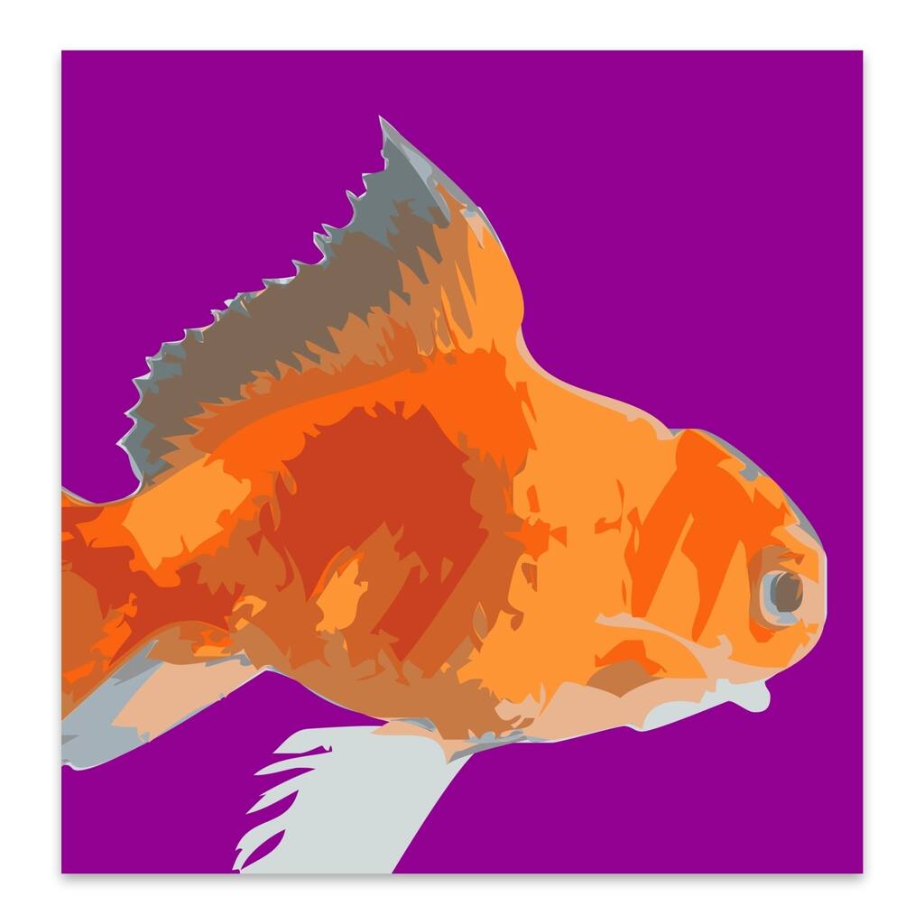 Animals Fin Fish Goldfish Sea Water Metal Wall Art Print