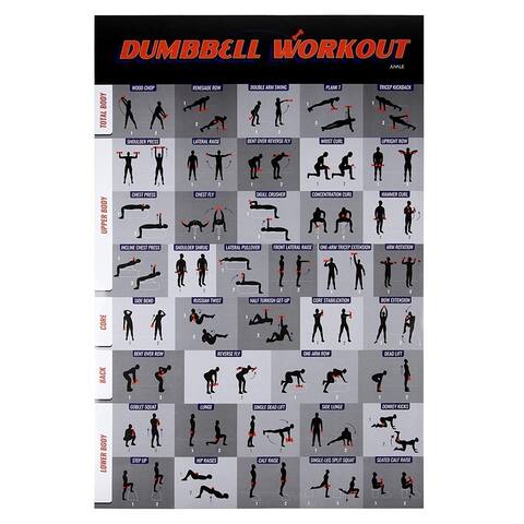 Workout Dumbbell Exercise Poster Fitness Guide for Strength Training 20 x 30 In.