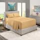 Option Camel Gold