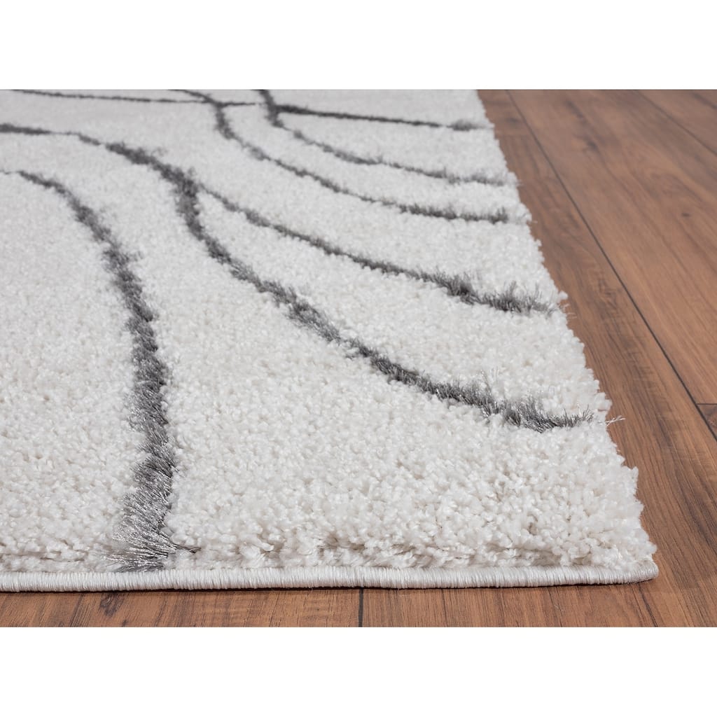 Shag Off-White Indoor Machine-Made Rectangle Area Rug Boston Collection