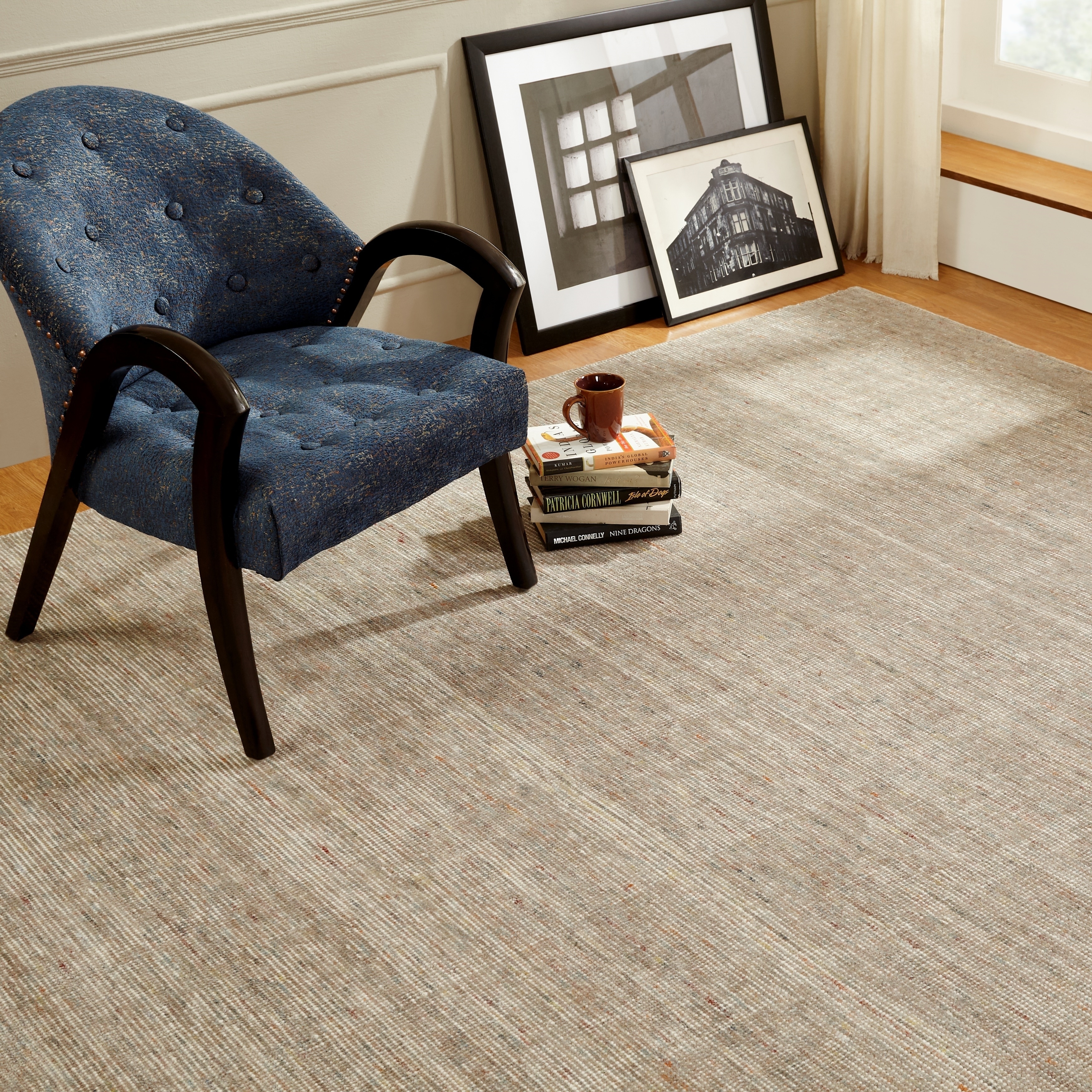 16+ Neutral Color Rugs