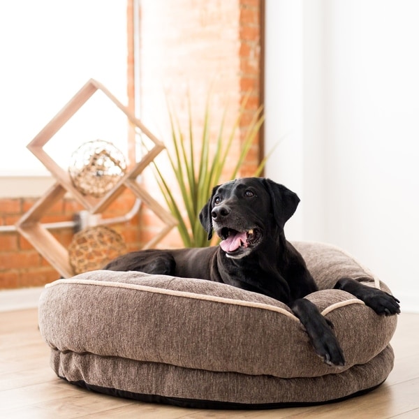 Cuddler dog clearance bed