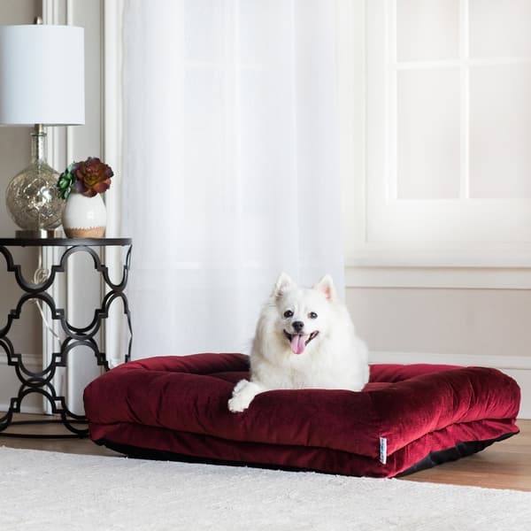 La-Z-Boy Rosie Lounger Dog Bed - 35 X 27 - Bed Bath & Beyond - 31135011
