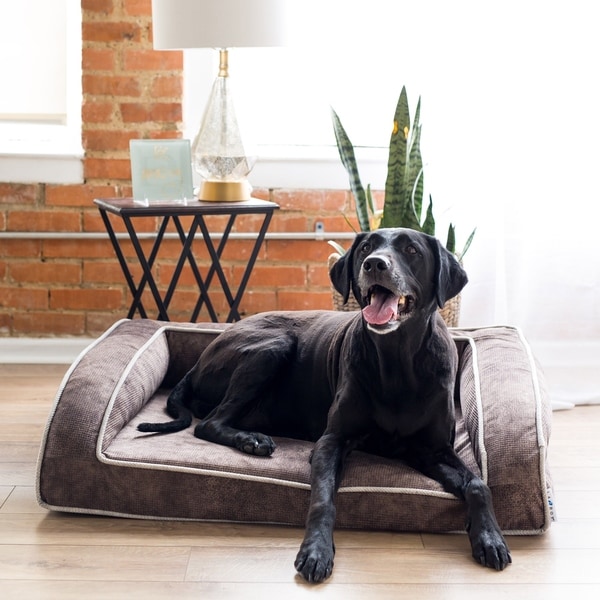 Bed bath and clearance beyond orthopedic dog bed