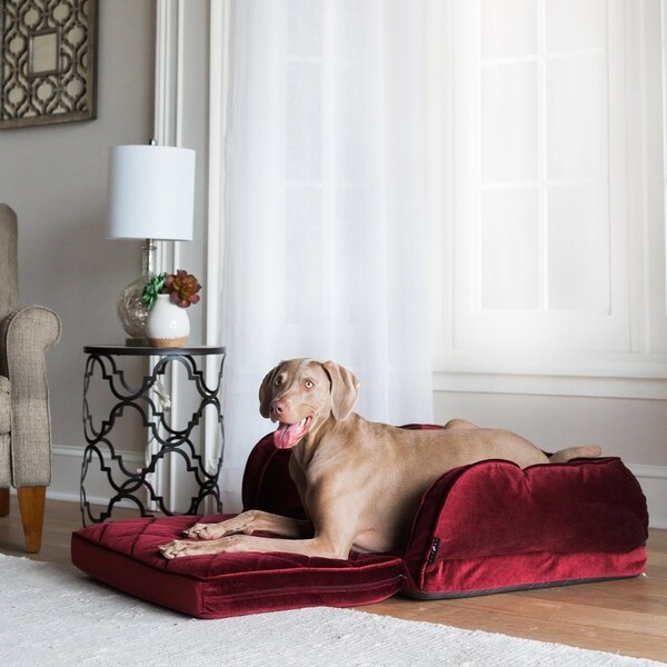 couch with pull out dog bed