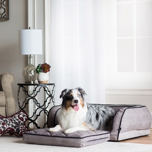 couch with pull out dog bed