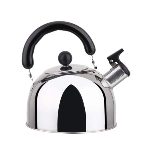 Stainless Steel Stovetop Tea Kettle with Handle, Induction