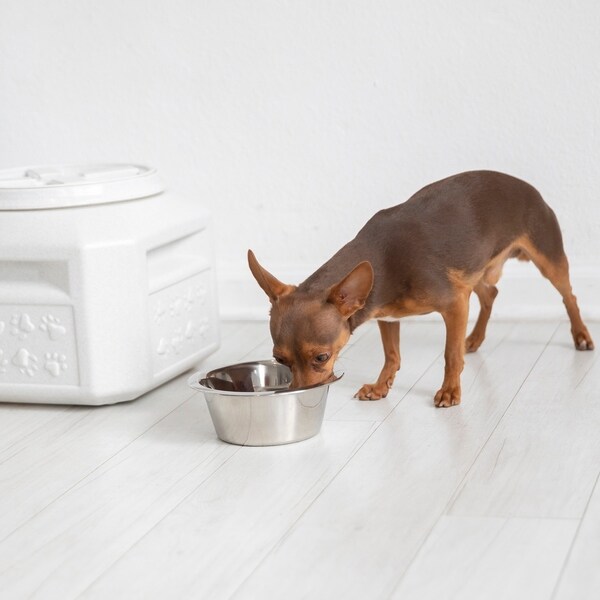 paw prints food storage