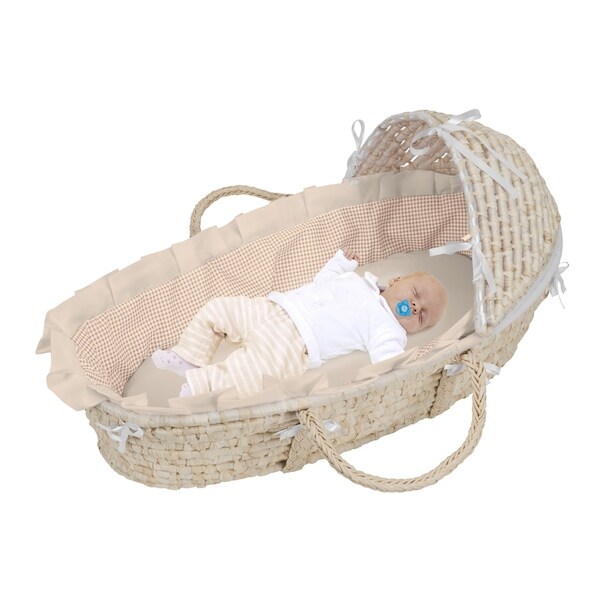 hooded moses basket